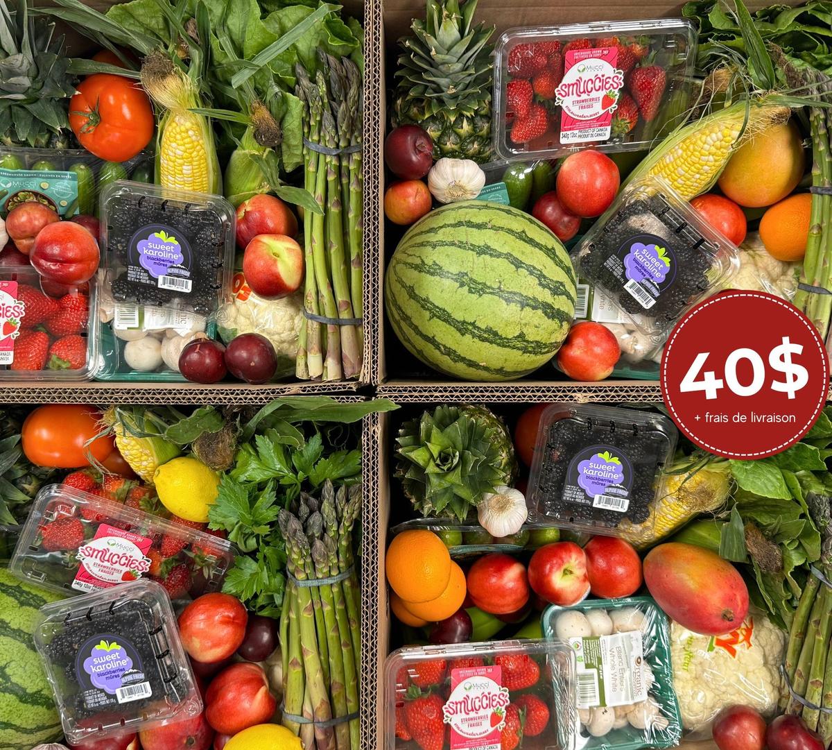 Panier de le semaine 1-2-3 jan 2026